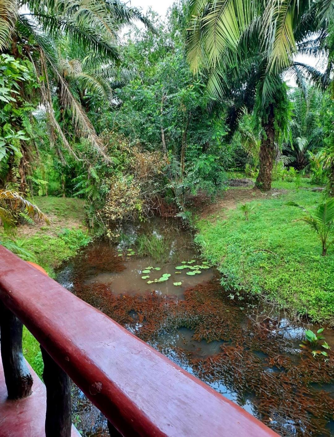 Tuaprodhome Khao Lak Room photo