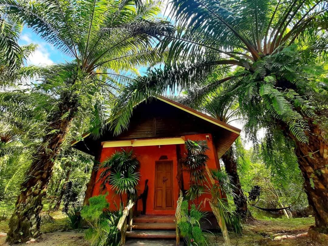 Tuaprodhome Khao Lak Room photo
