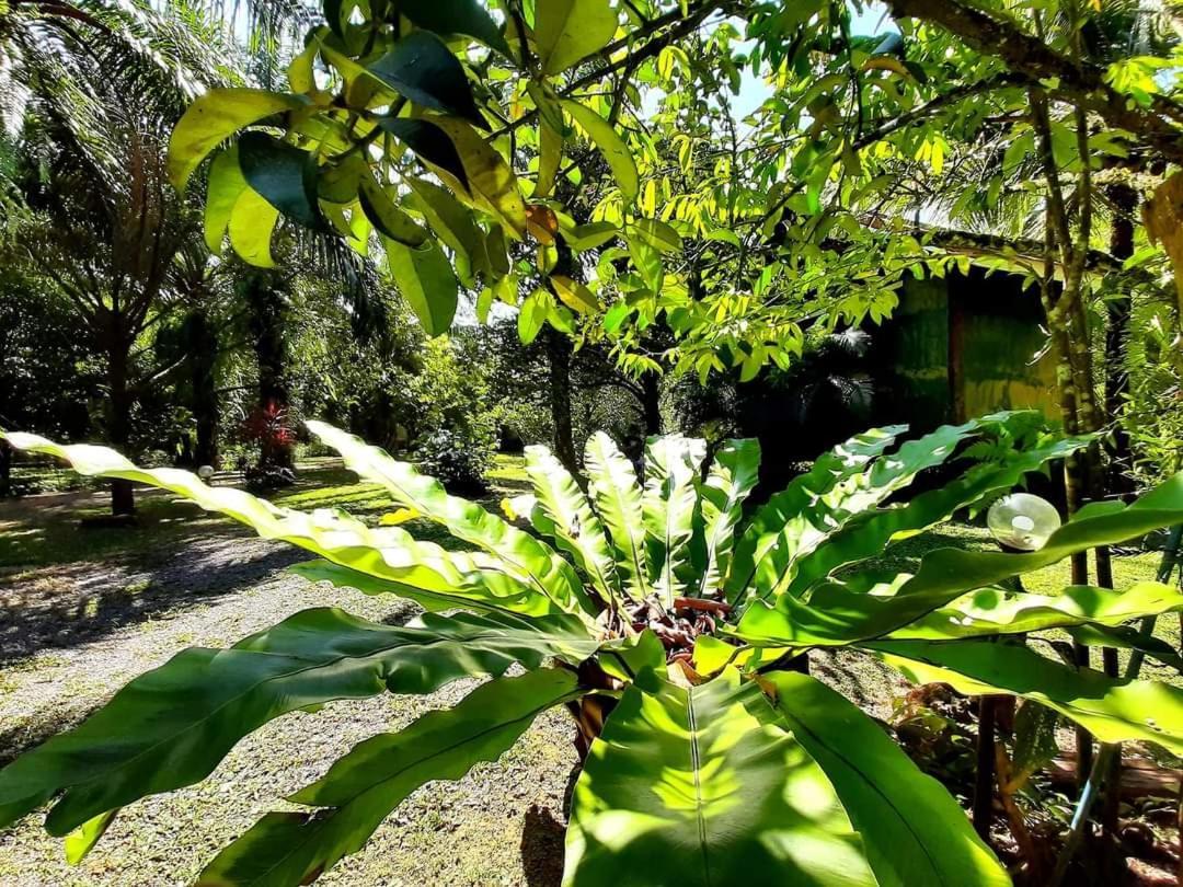 Tuaprodhome Khao Lak Room photo