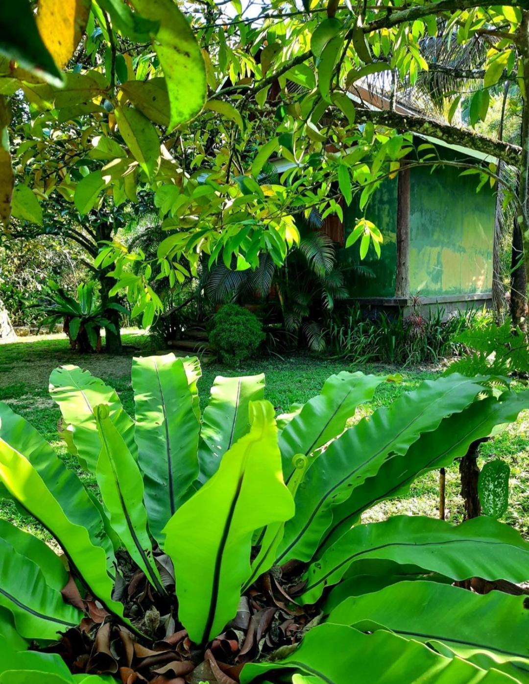 Tuaprodhome Khao Lak Room photo