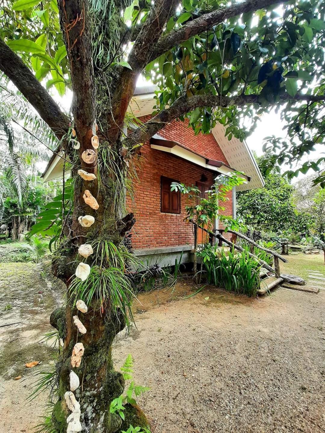 Tuaprodhome Khao Lak Room photo