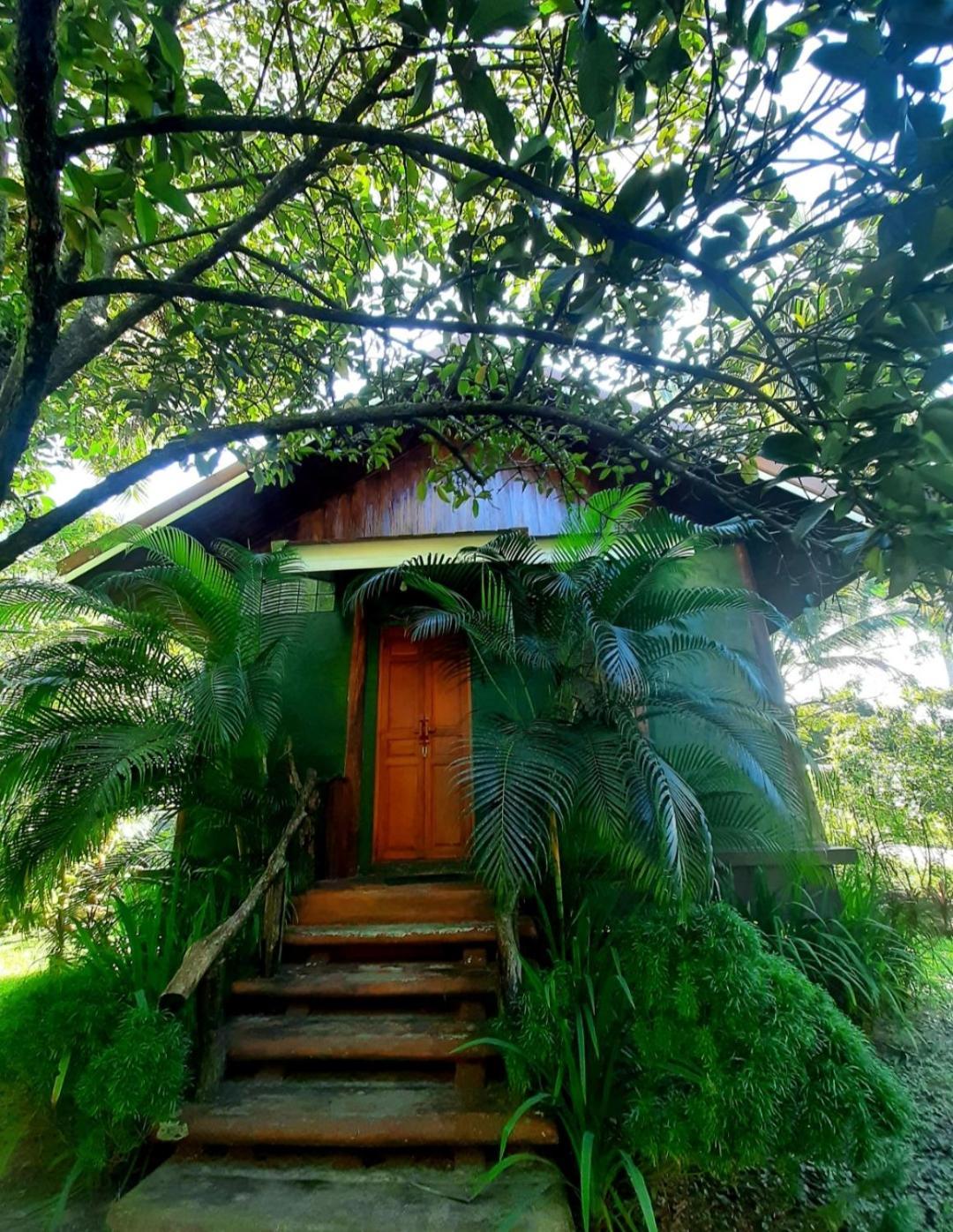 Tuaprodhome Khao Lak Room photo